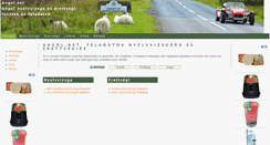 Desktop Screenshot of angol.net