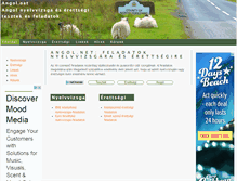 Tablet Screenshot of angol.com